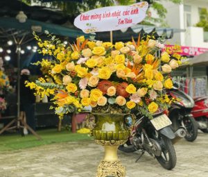 Shop Hoa Tươi Thành Phố Thuận An, Bình Dương