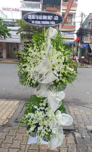 Shop Hoa Tươi Thị Trấn Phước Vĩnh, Phú Giáo, Bình Dương,